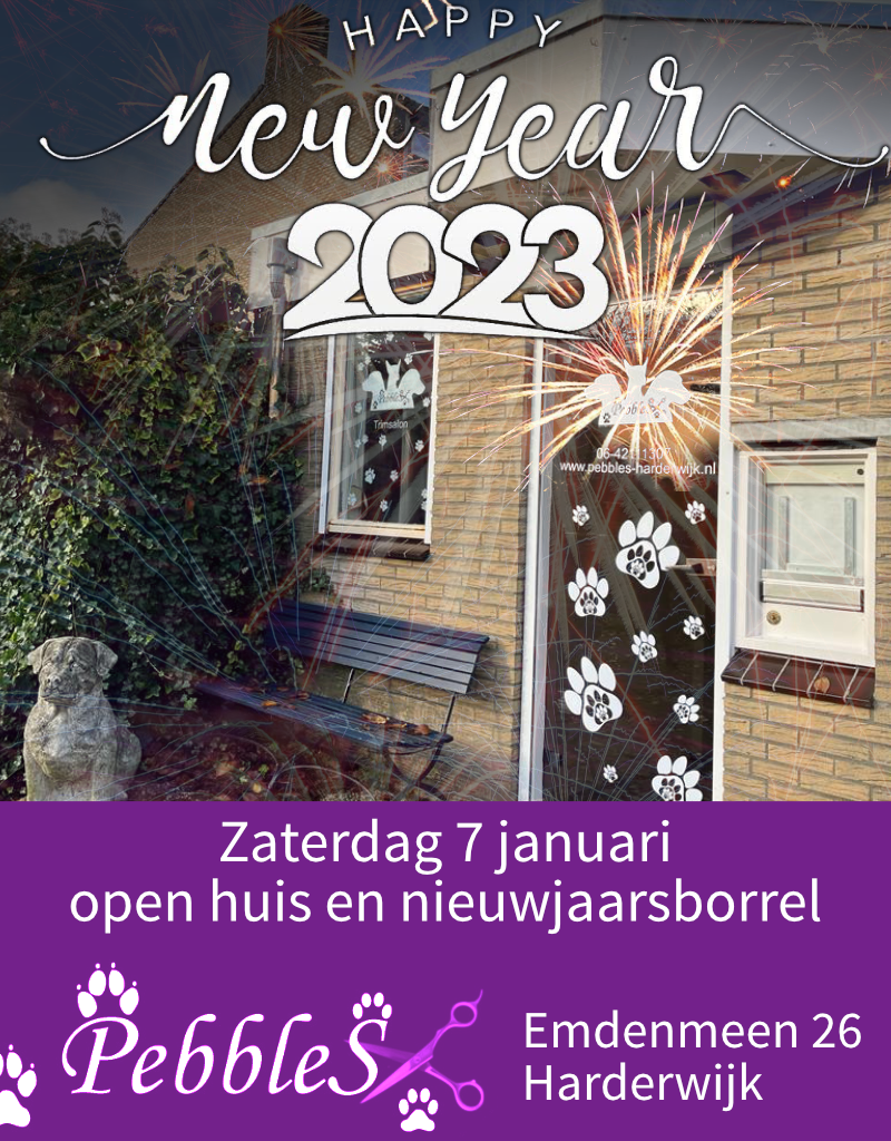 Open huis met nieuwjaarsborrel